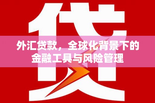 扶风外汇贷款，全球化背景下的金融工具与风险管理