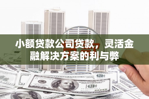 扶风小额贷款公司贷款，灵活金融解决方案的利与弊