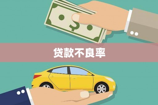 扶风贷款不良率