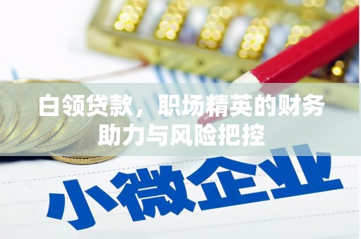 扶风白领贷款，职场精英的财务助力与风险把控