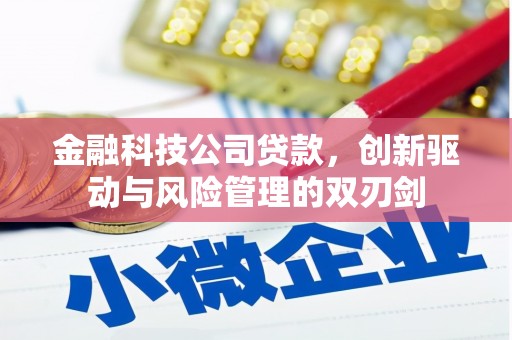 扶风金融科技公司贷款，创新驱动与风险管理的双刃剑