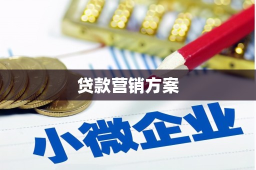 扶风贷款营销方案